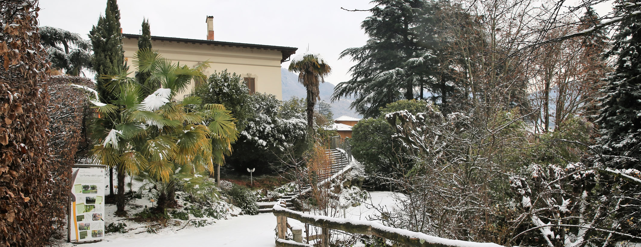 Villa e Giardino Botanico De Ponti a Calolziocorte - foto Danilo Butta