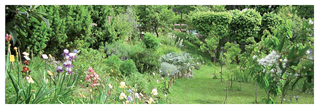 image article